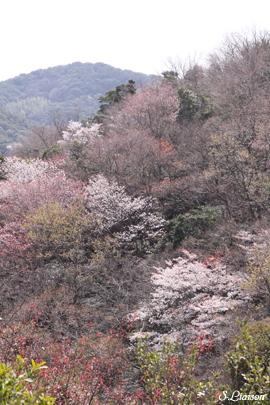 b0139477_1442258.jpg