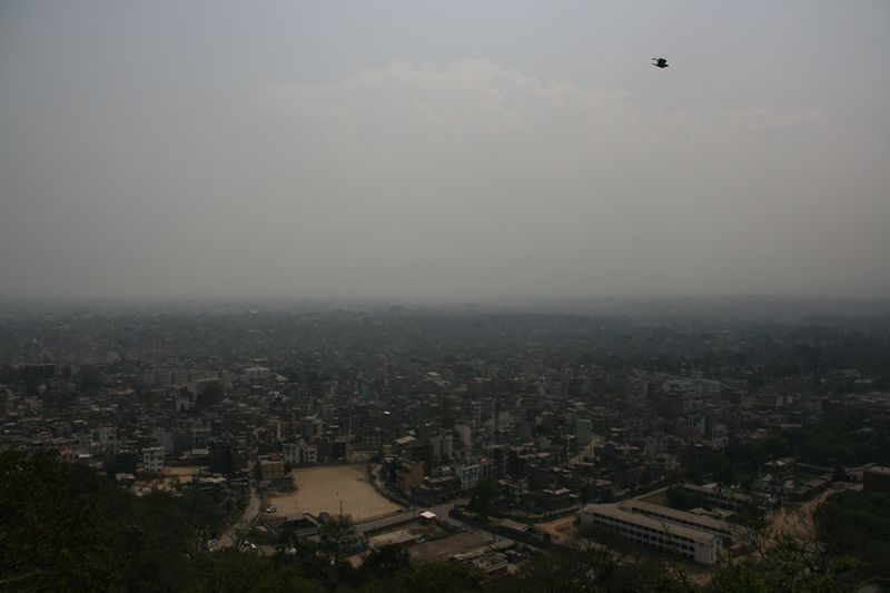 c0148781_17421324.jpg