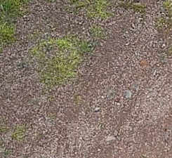 b0029488_14305219.jpg
