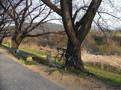 a0118289_11424656.jpg