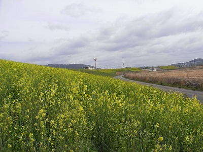 a0118289_1149326.jpg