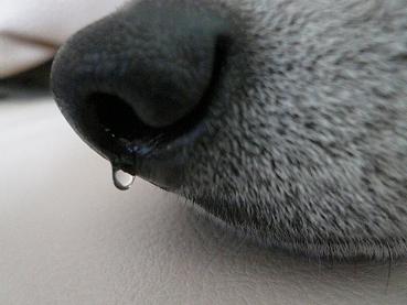 c0123890_2357156.jpg