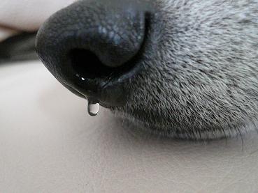 c0123890_23572467.jpg