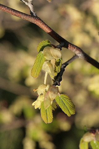 d0133693_0212496.jpg