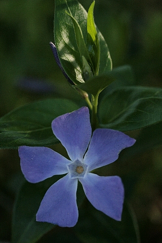 d0133693_021408.jpg
