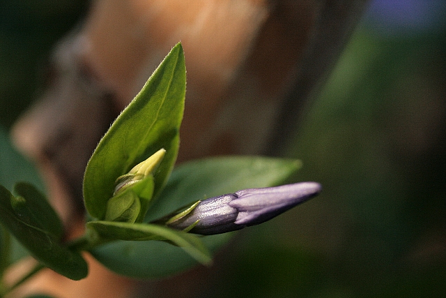 d0133693_0214858.jpg