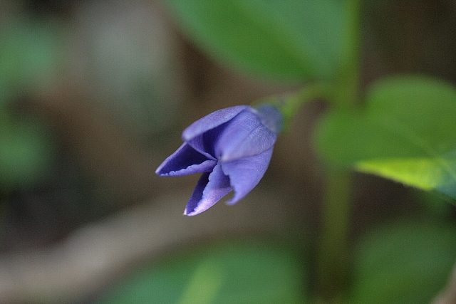 d0133693_0215711.jpg