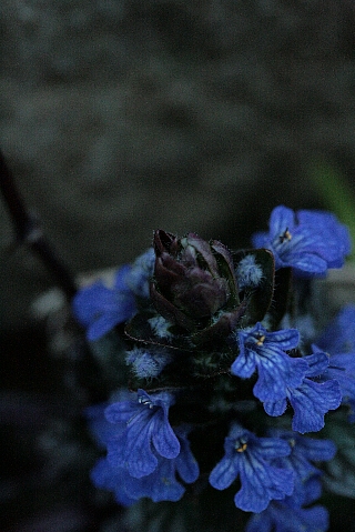 d0133693_0221436.jpg