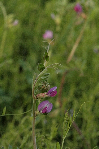 d0133693_0223168.jpg