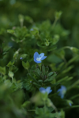 d0133693_022745.jpg