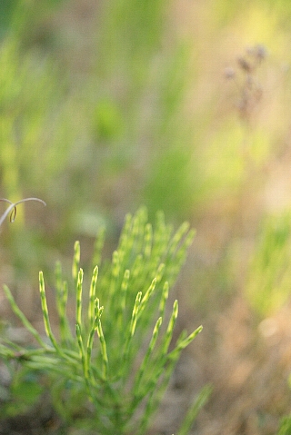 d0133693_0522667.jpg