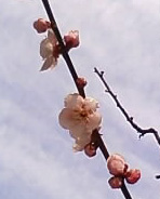 b0124995_1244250.jpg