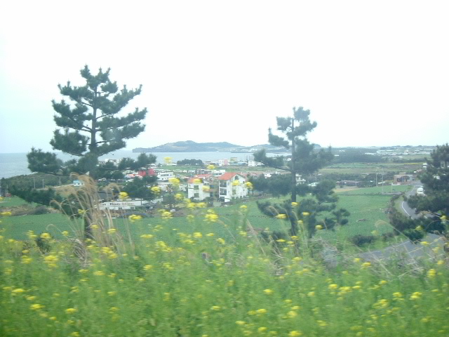 b0044296_22432637.jpg