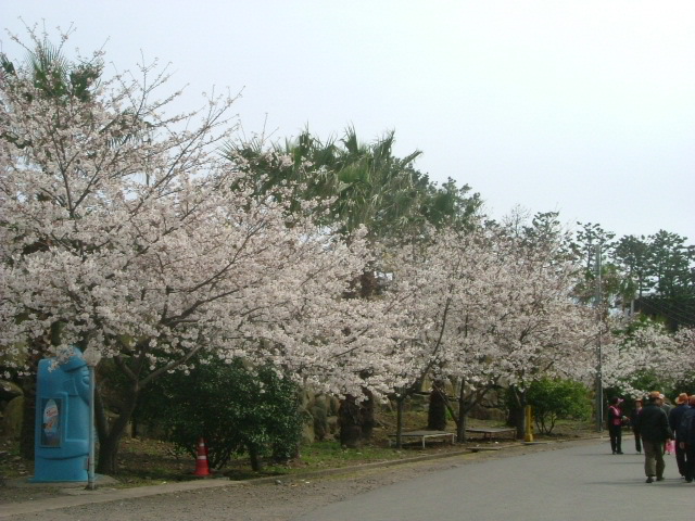 b0044296_23234047.jpg
