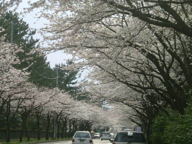 b0044296_2324148.jpg