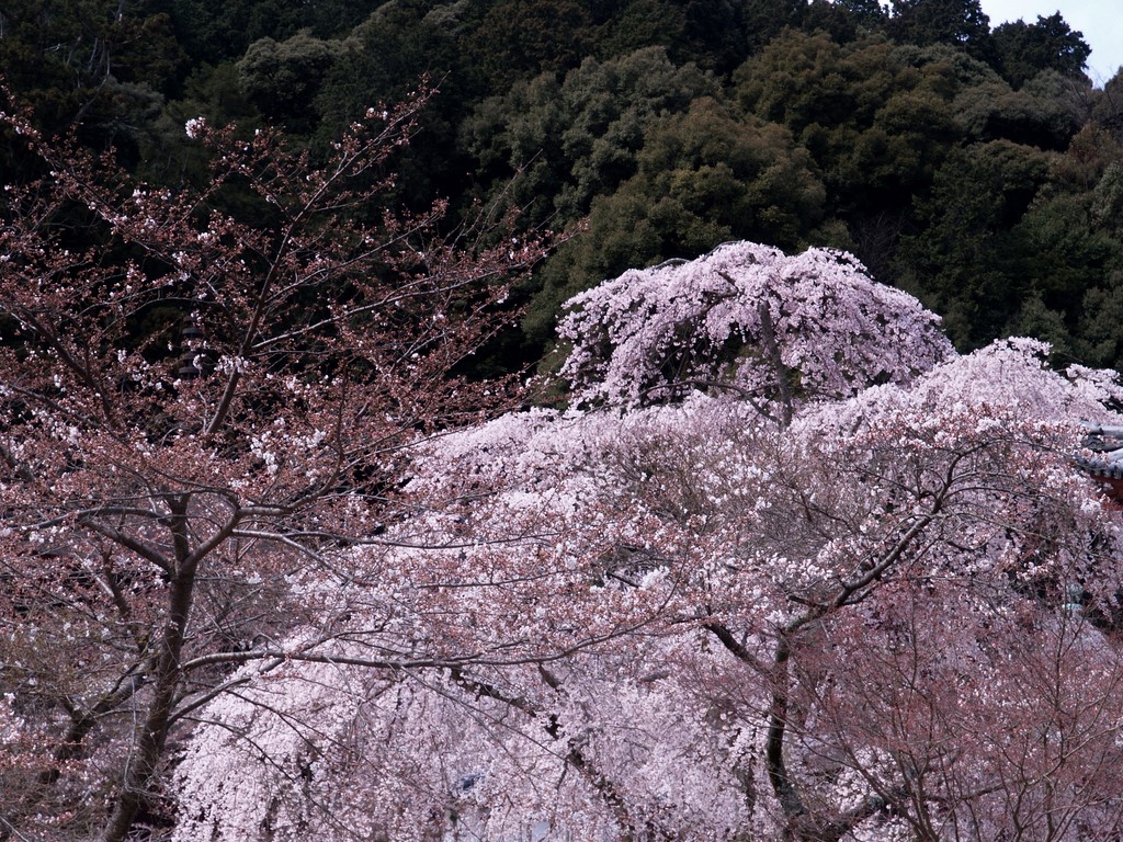 b0138101_23414190.jpg