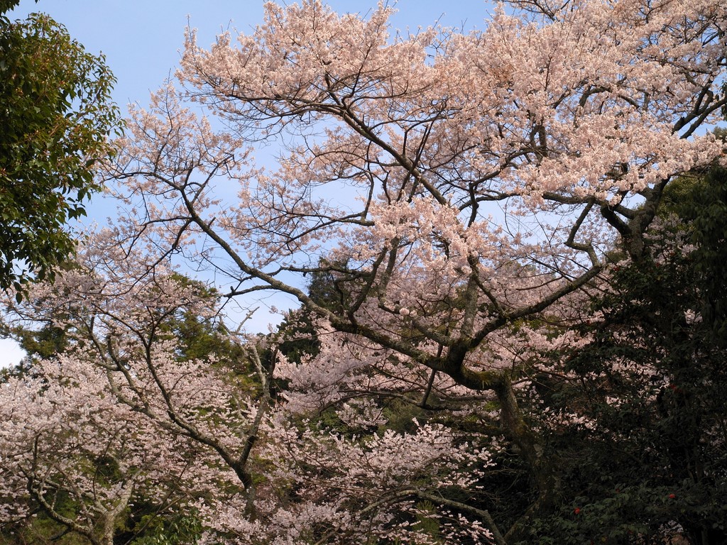 b0138101_2345296.jpg