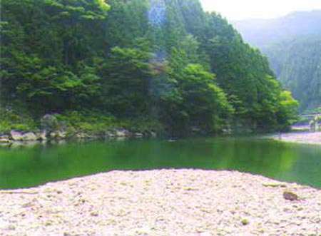 e0115301_1885087.jpg