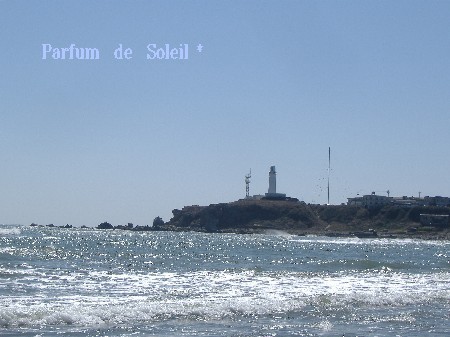d0087503_22161179.jpg