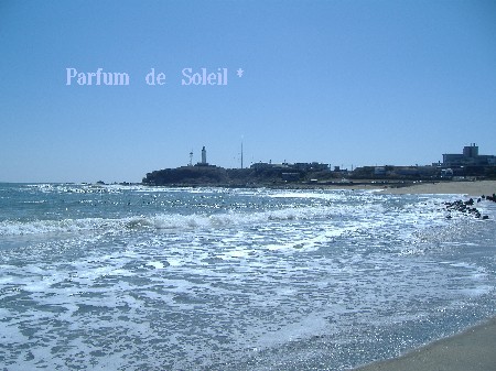 d0087503_22181658.jpg