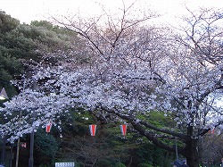 c0187004_11311783.jpg