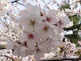 c0187004_16421298.jpg