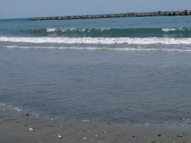 f0185804_17551851.jpg