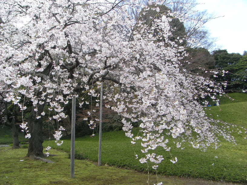 e0031605_226448.jpg