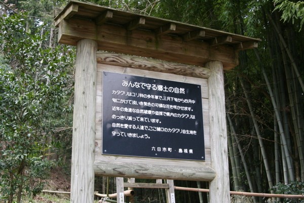 e0001907_23425583.jpg