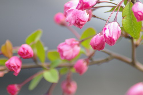 b0052108_23145910.jpg