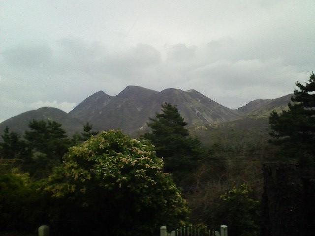 b0019909_15423851.jpg