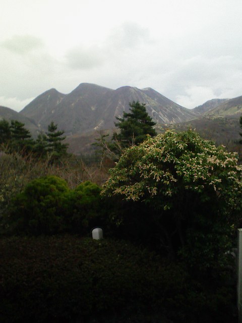 b0019909_15423862.jpg