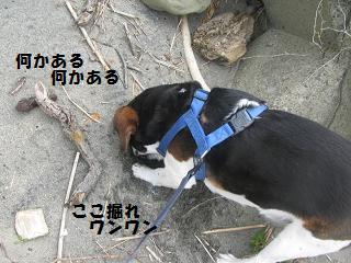 d0104209_2010171.jpg