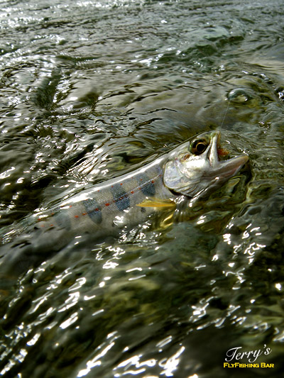 e0009009_23512560.jpg