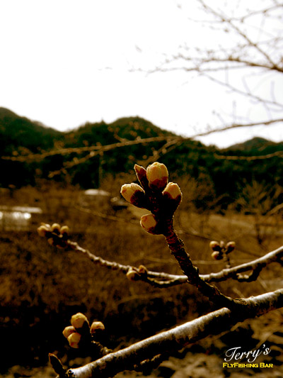 e0009009_23542853.jpg