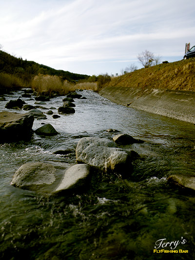 e0009009_23562817.jpg