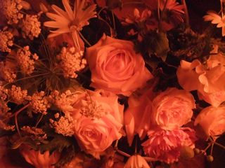 d0094310_2247320.jpg