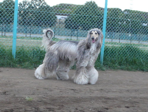 c0101713_2315543.jpg