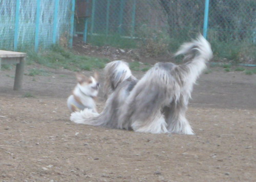 c0101713_233183.jpg