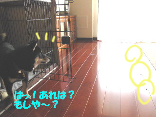 c0185516_13455593.jpg
