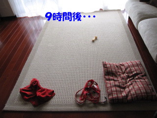 c0185516_13554742.jpg