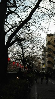 c0149717_2357695.jpg