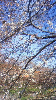 b0150018_15422013.jpg