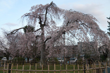 b0019820_2242428.jpg