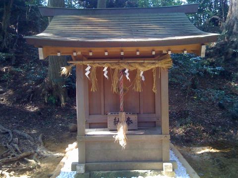 f0100920_1741041.jpg