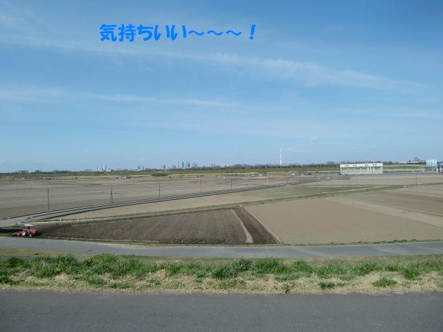 f0182121_19223056.jpg