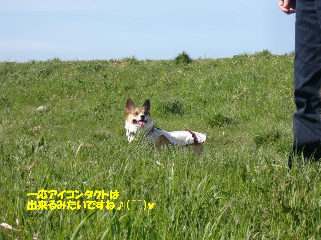 f0182121_1927188.jpg