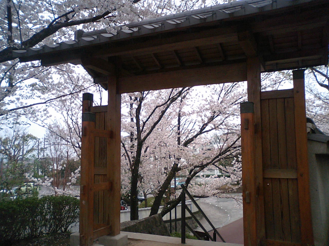 f0031125_19563172.jpg