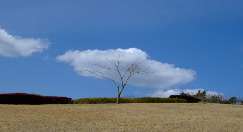 f0147025_20273445.jpg