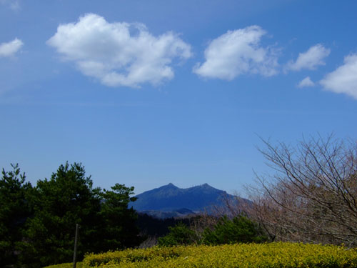 f0147025_20284388.jpg